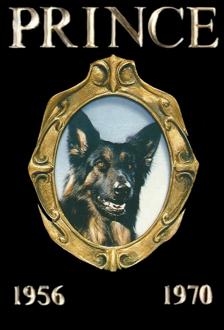 Prince (1991) TMDB poster