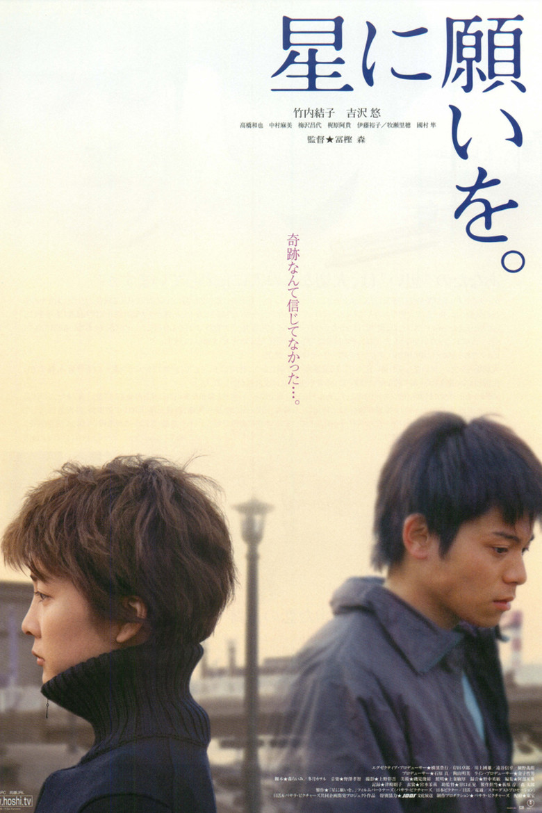 星に願いを (2003) TMDB poster
