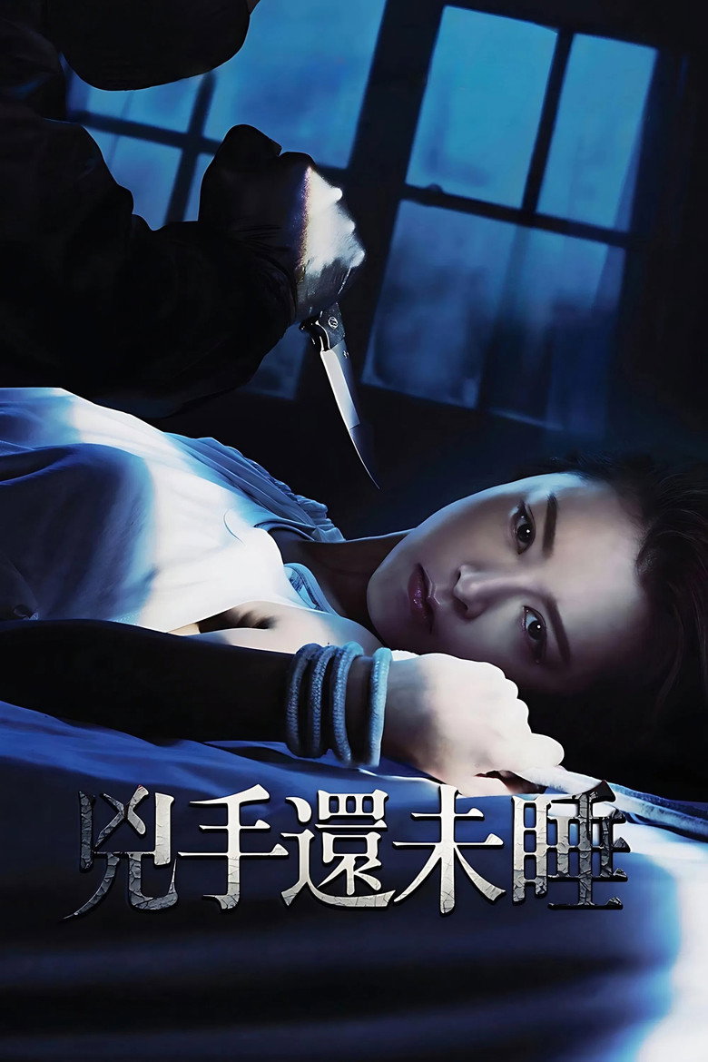 兇手還未睡 (2016) TMDB poster