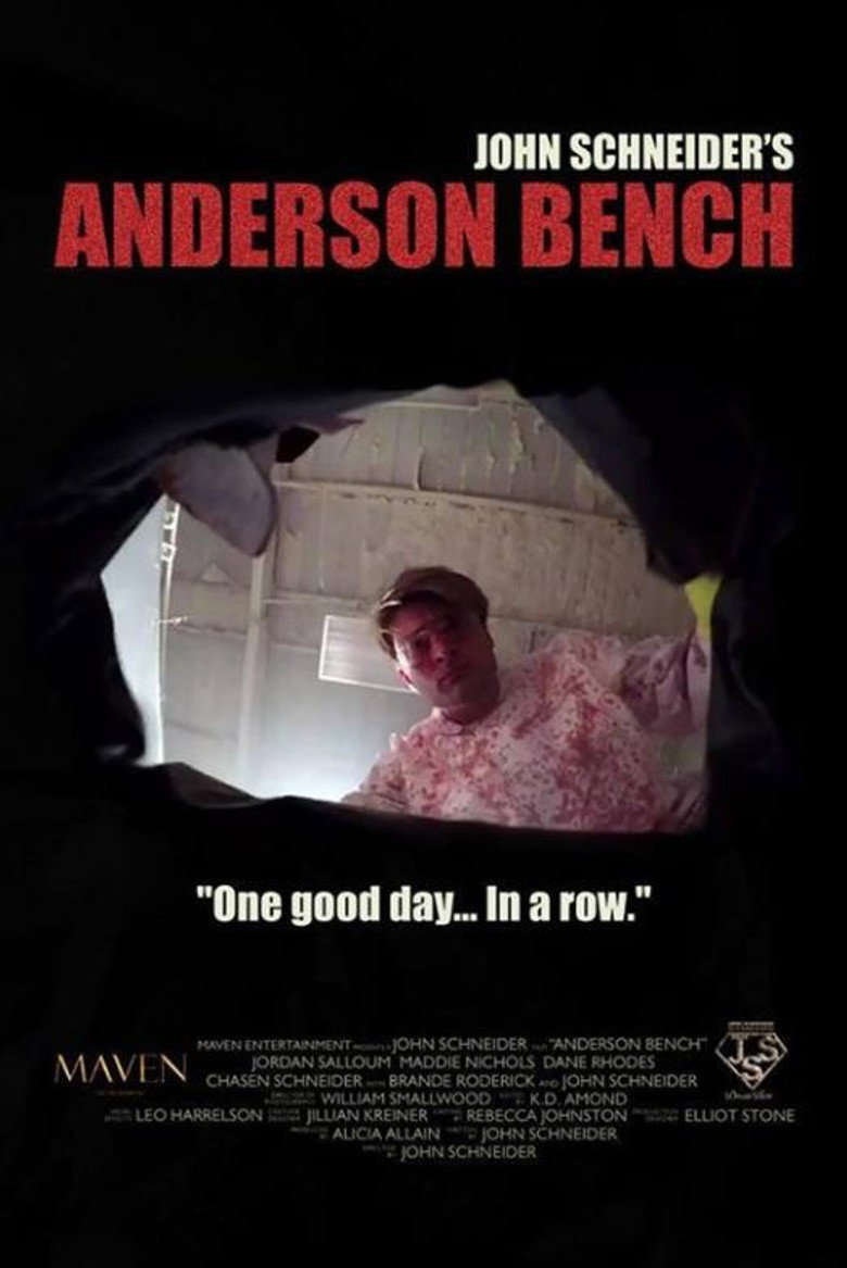 Anderson Bench (2016) TMDB poster