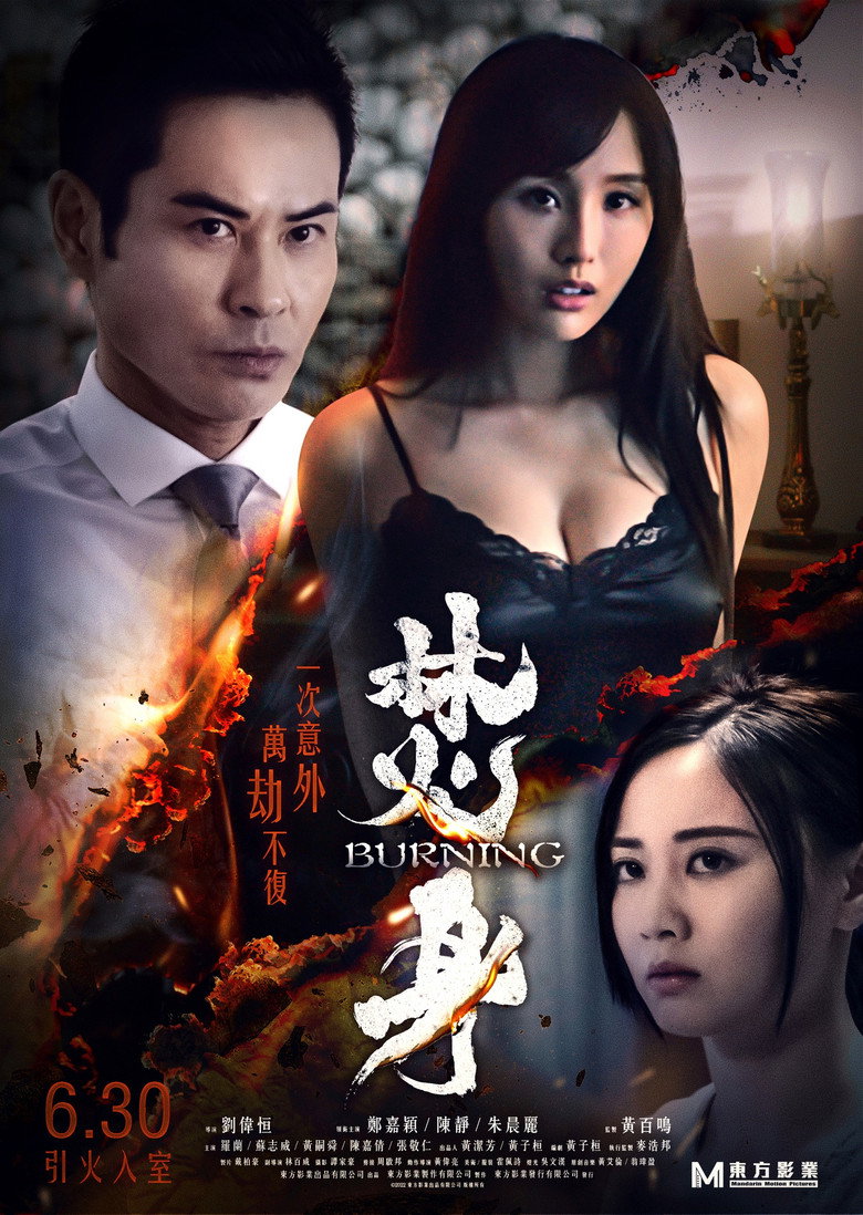 焚身 (2022) TMDB poster