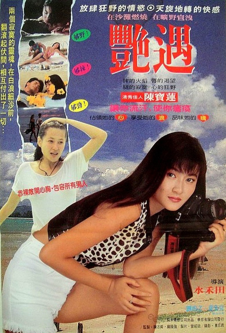 偶遇 (1995) TMDB poster