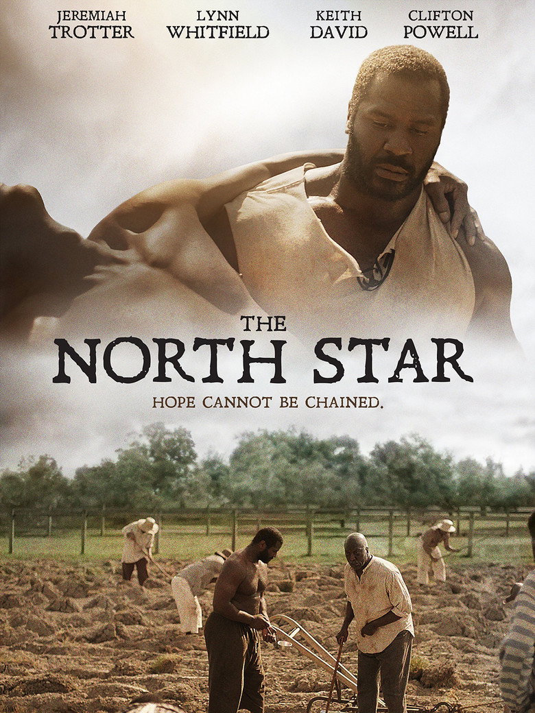 The North Star (2016) TMDB poster