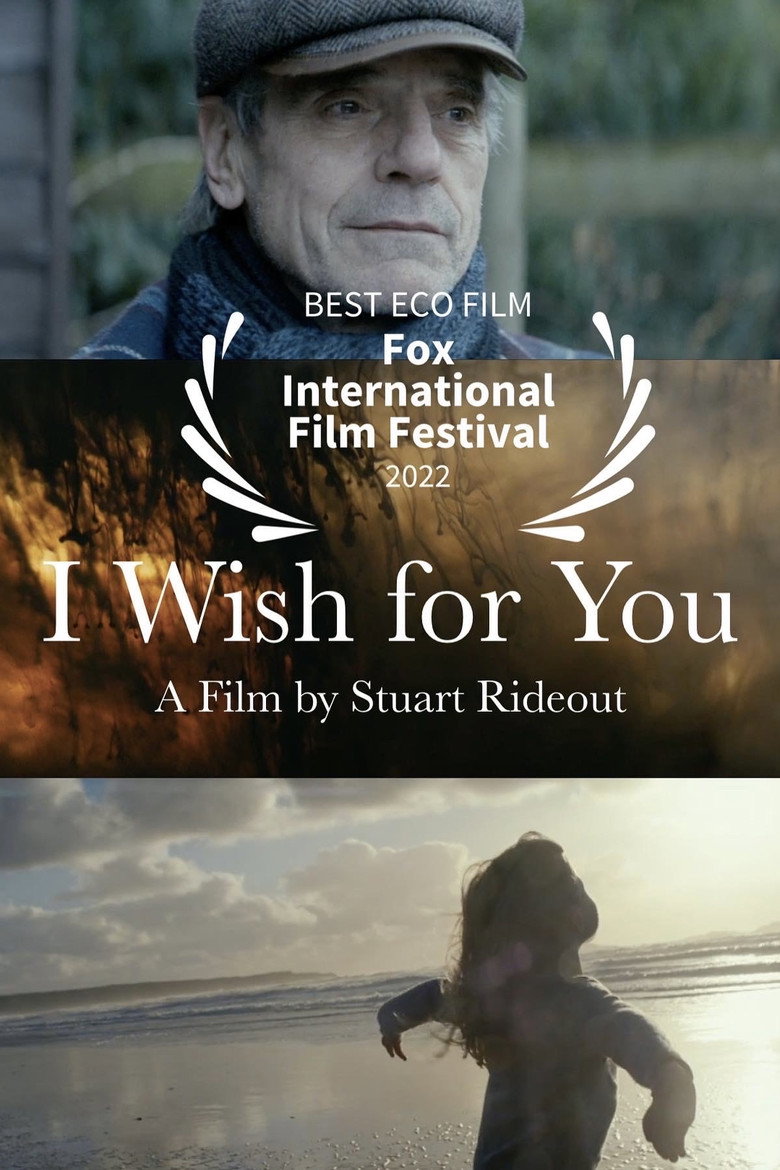 I Wish For You (2016) TMDB poster