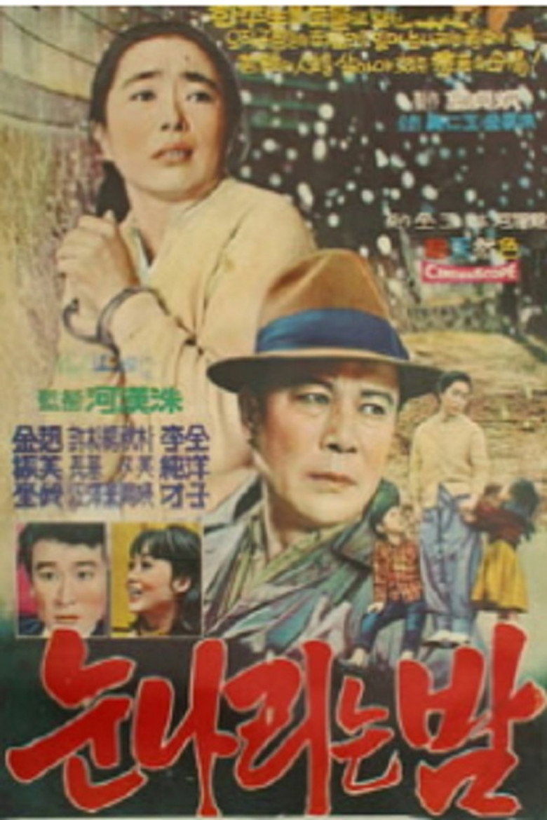 눈 나리는 밤 (1969) TMDB poster