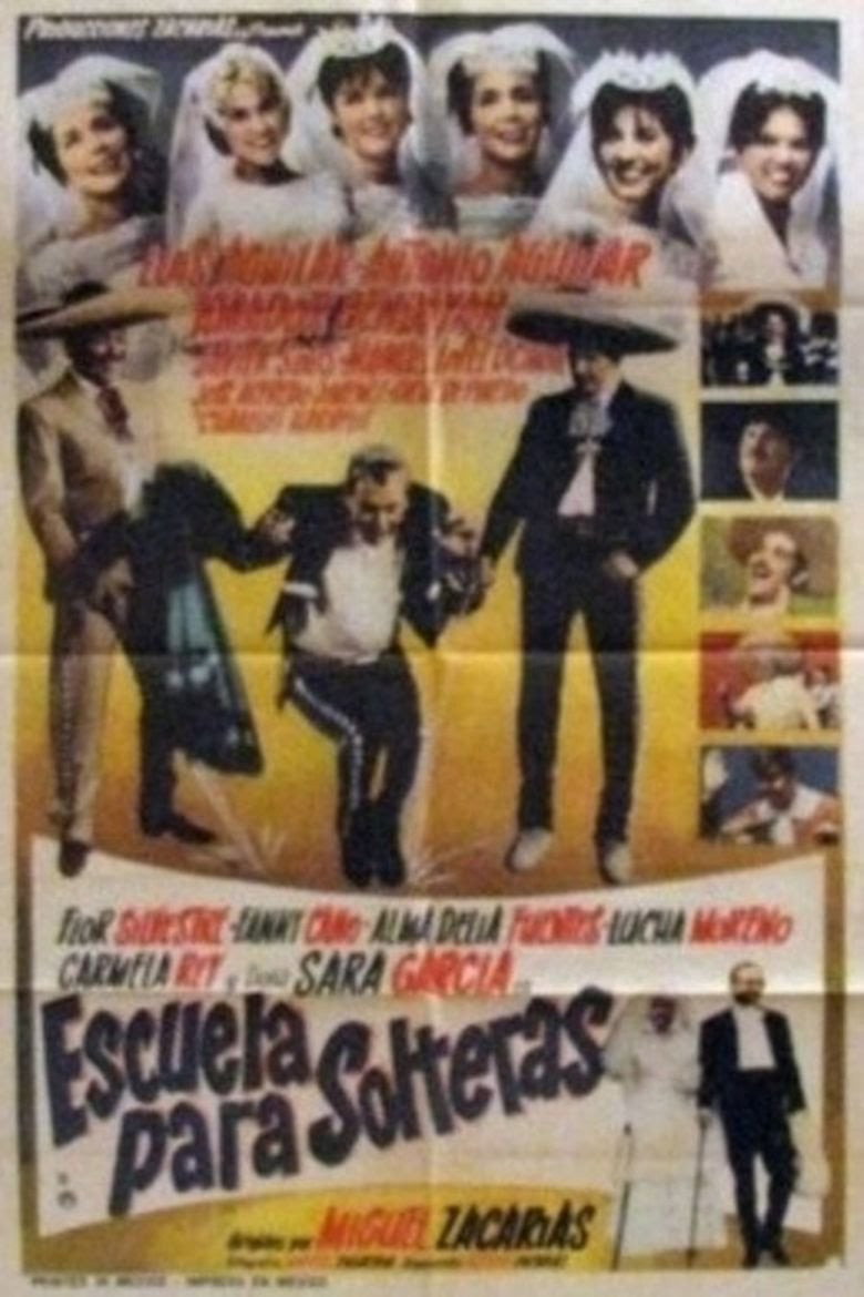 Escuela para solteras (1965) TMDB poster
