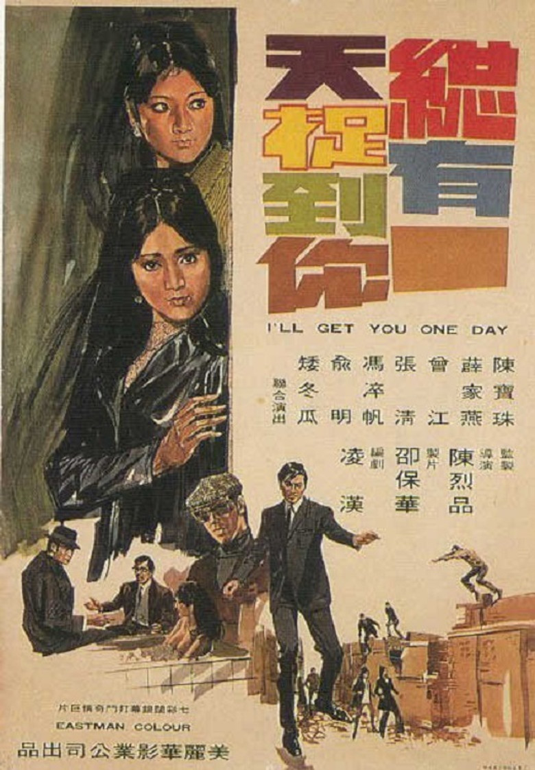 總有一天捉到你 (1970) TMDB poster