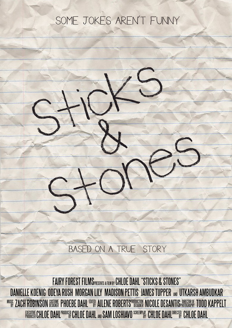 Sticks & Stones (2013) TMDB poster