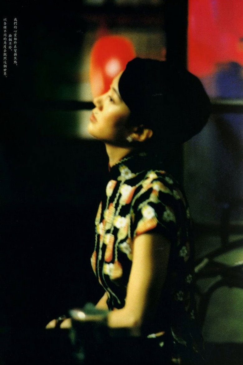 孤戀花 (2005) TMDB poster