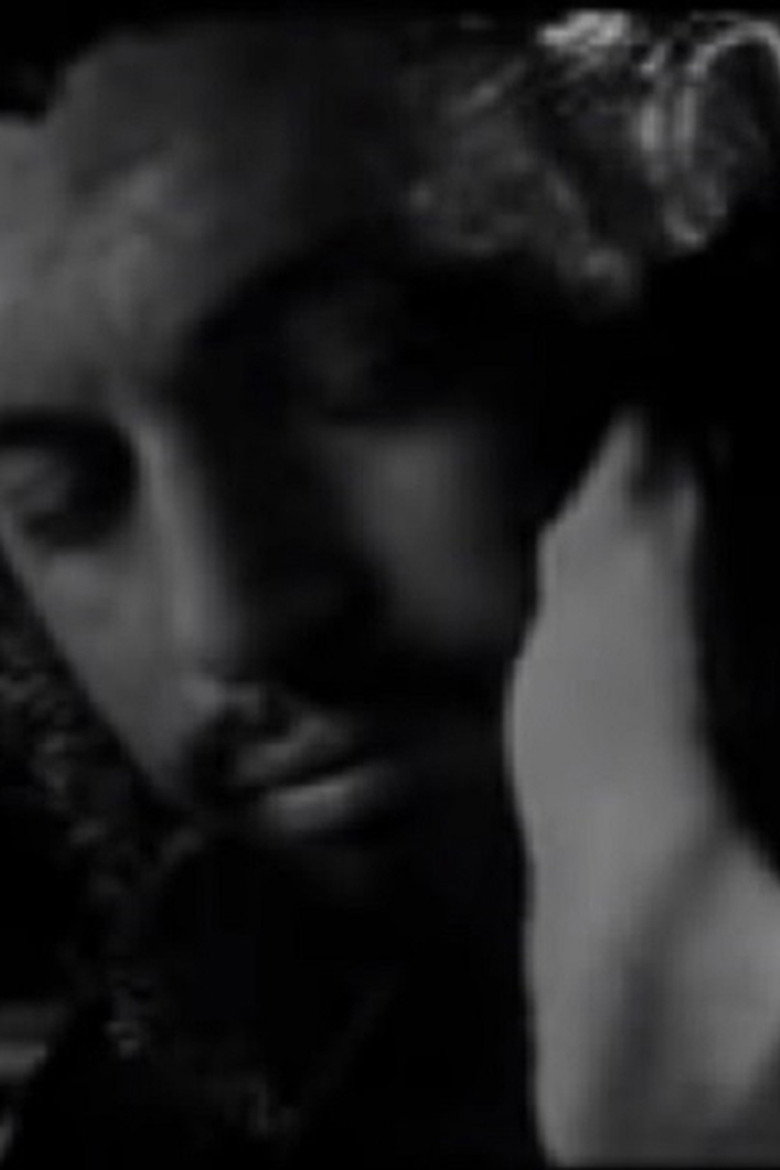 Meeting Che Guevara & the Man from Maybury Hill (2003) TMDB poster