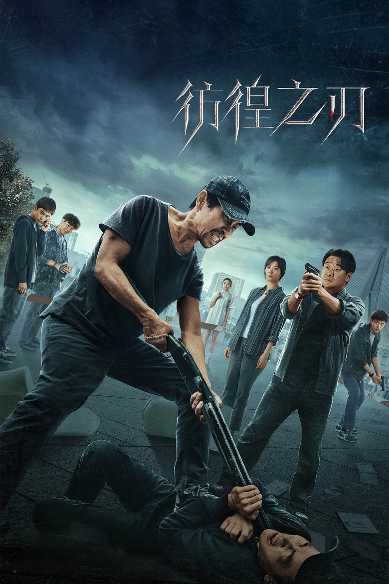 彷徨之刃 (2024) TMDB poster