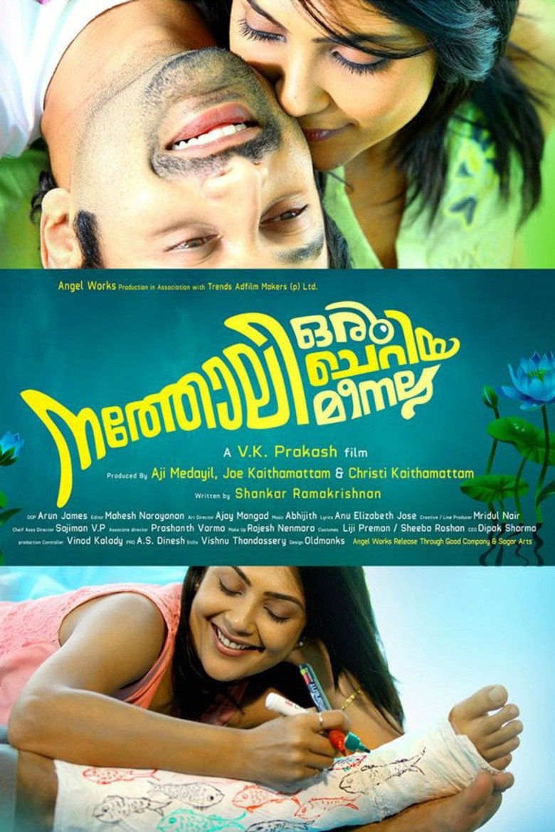 നത്തോലി ഒരു ചെറിയ മീനല്ല (2013) TMDB poster