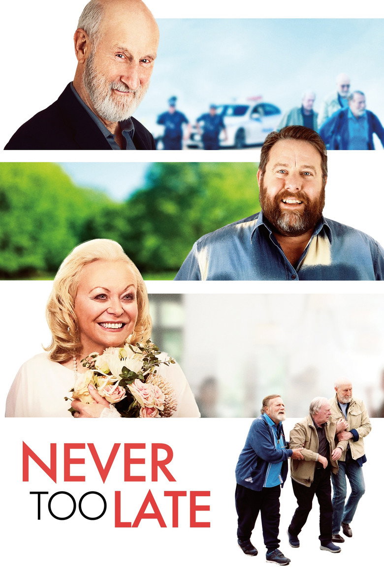 Never Too Late (2020) TMDB poster