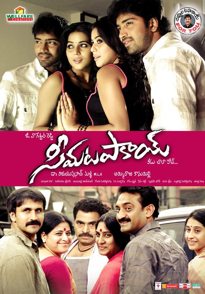 సీమ టపాకాయ్ (2011) TMDB poster
