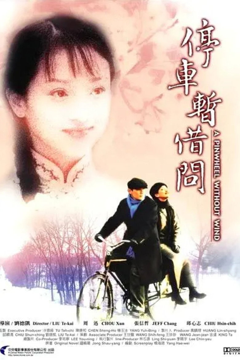 烟雨红颜 (2002) TMDB poster