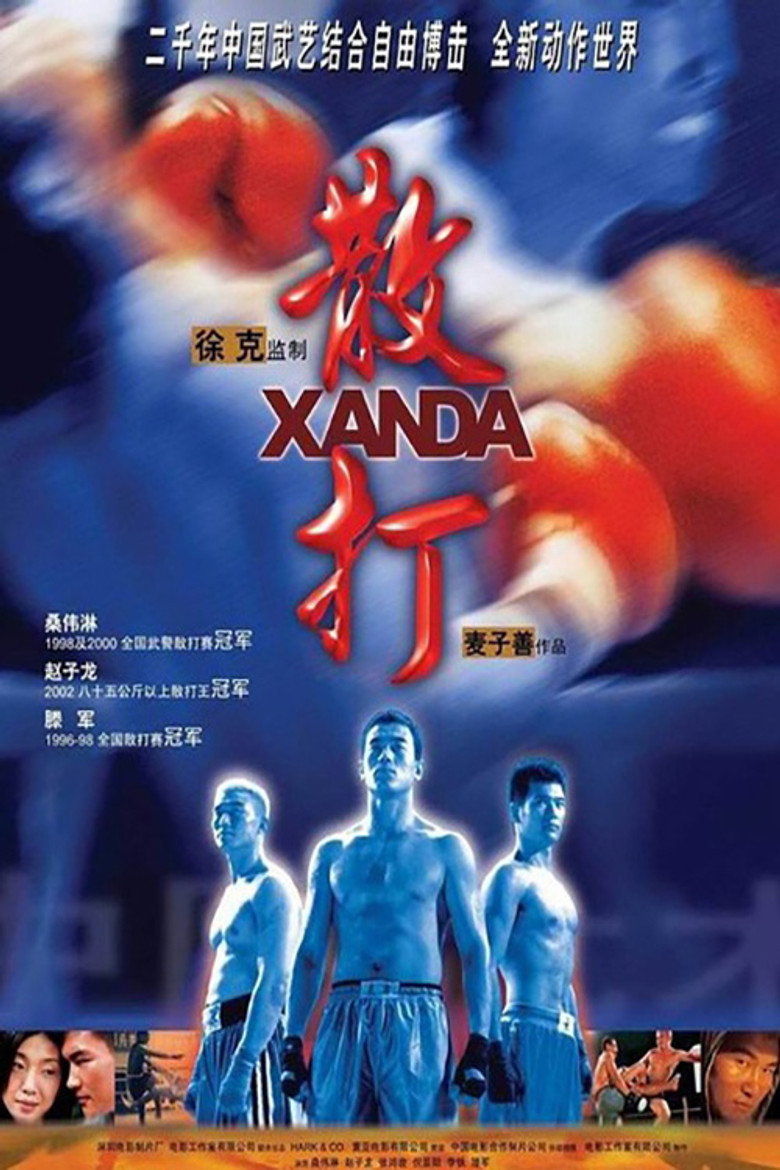 散打 (2004) TMDB poster