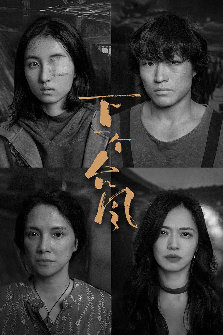 下一个台风 (2025) TMDB poster