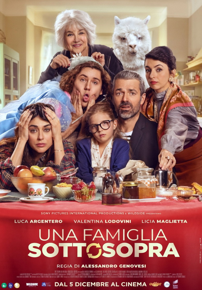 Una famiglia sottosopra (2025) TMDB poster