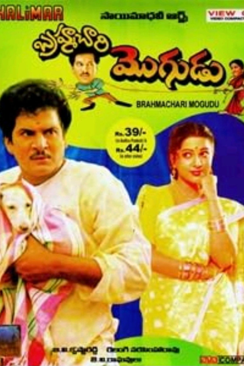 బ్రహ్మచారి మొగుడు (1994) TMDB poster