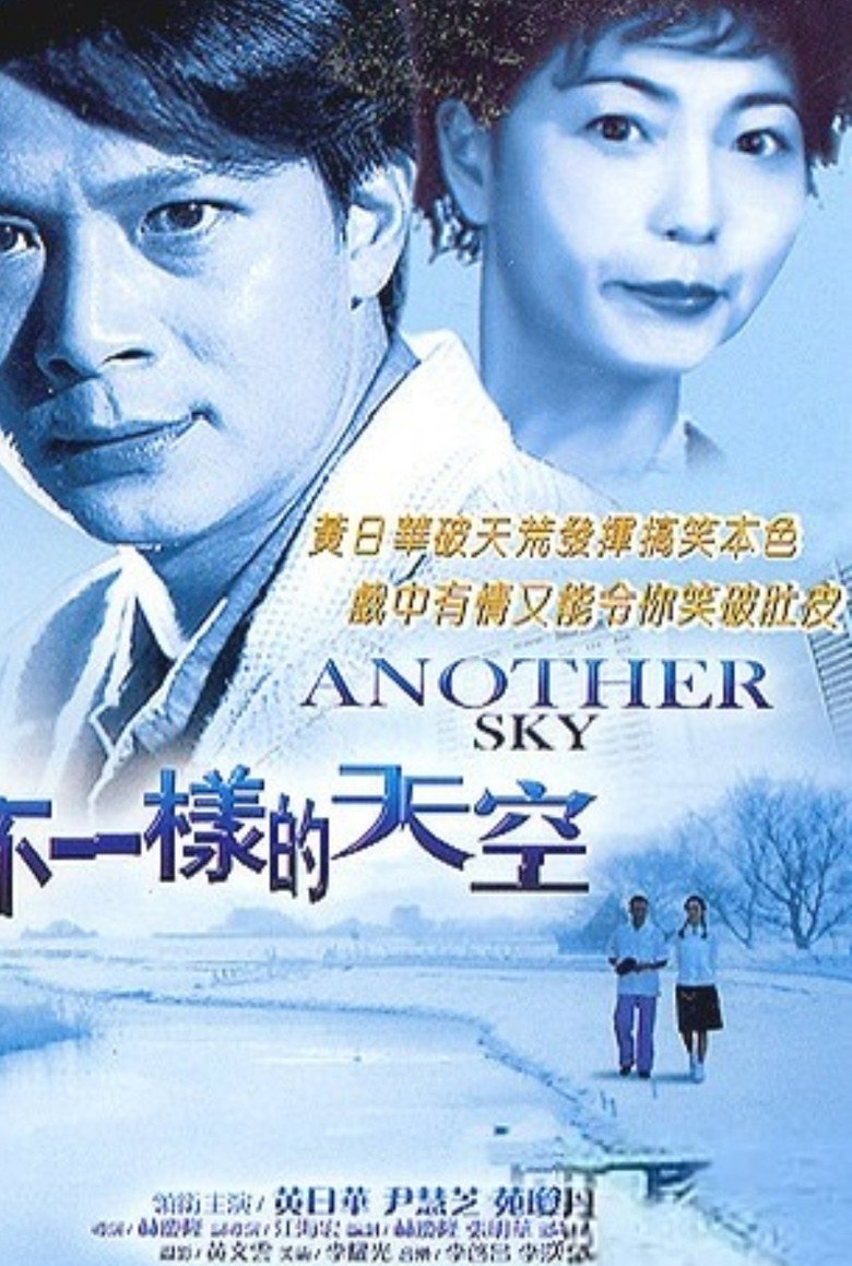 不一樣的天空 (1995) TMDB poster