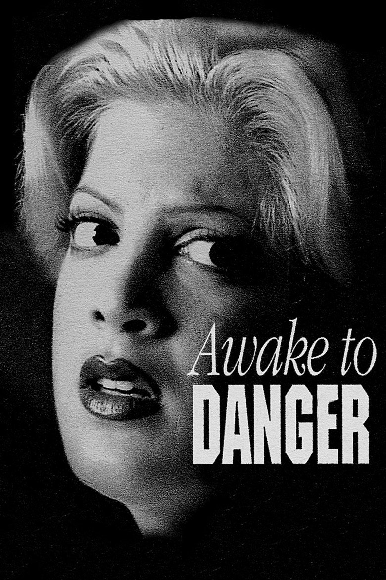 Awake to Danger (1995) TMDB poster
