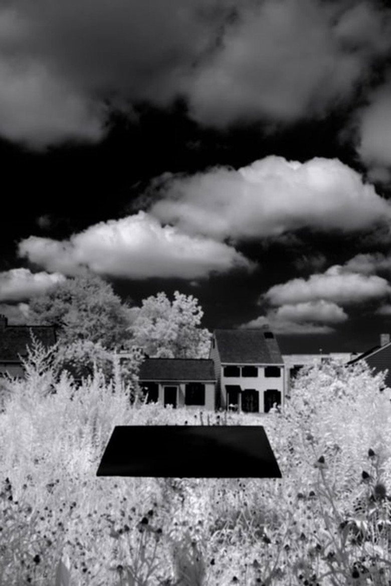 Letter to the Free (2016) TMDB poster