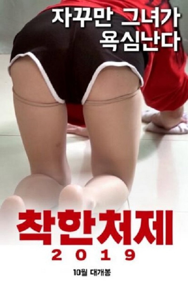 착한처제 2019 (2019) TMDB poster