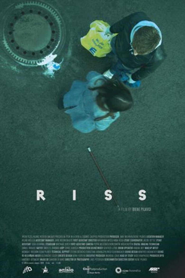 Riss (2010) TMDB poster