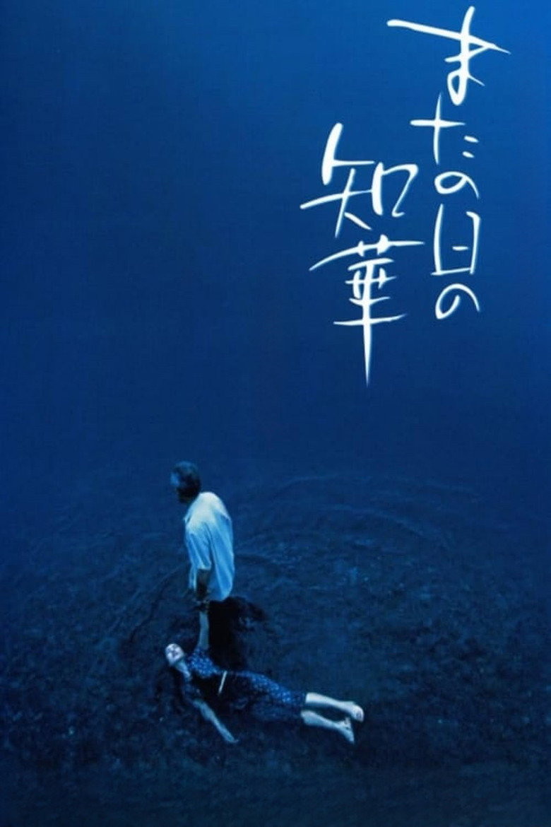 またの日の知華 (2005) TMDB poster