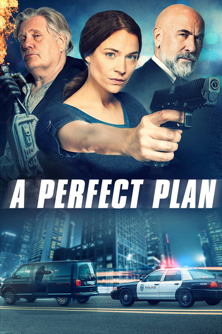 A Perfect Plan (2020) TMDB poster