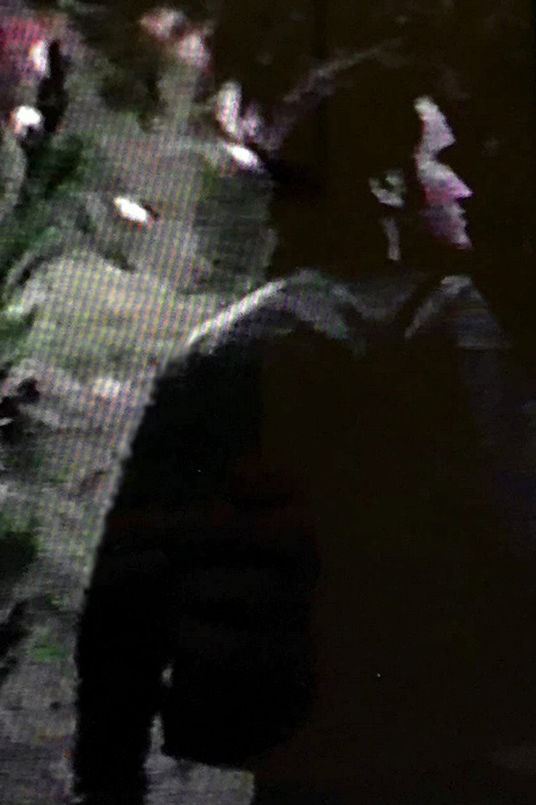 Vegetables (1989) TMDB poster