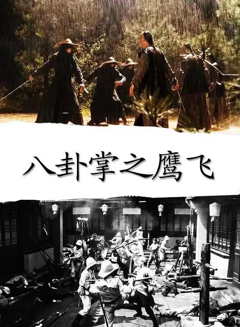 八卦掌之鹰飞 (2020) TMDB poster