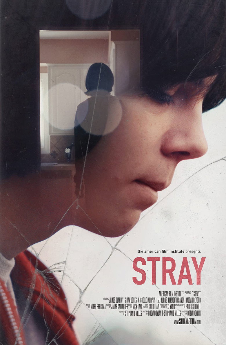 Stray (2017) TMDB poster