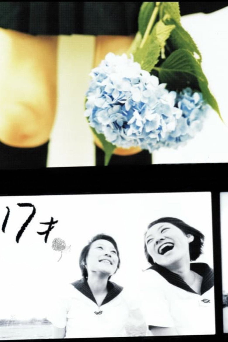 17才 (2003) TMDB poster