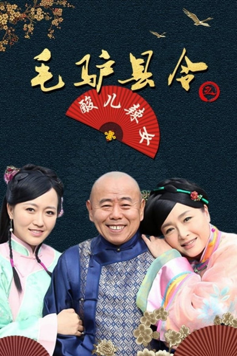 毛驴县令之酸儿辣女 (2014) TMDB poster