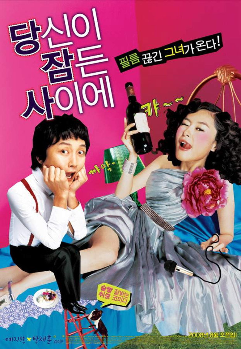 당신이 잠든 사이에 (2008) TMDB poster