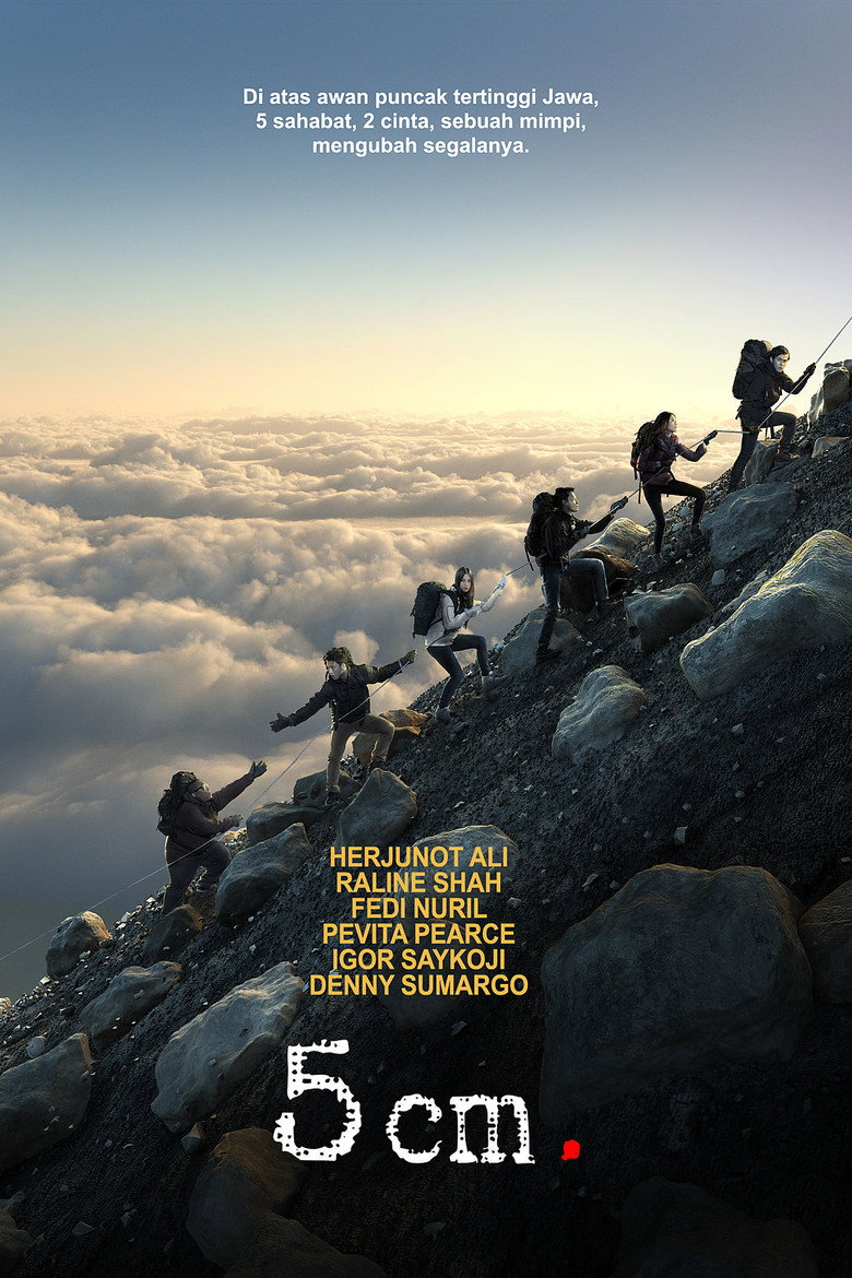 5 cm (2012) TMDB poster