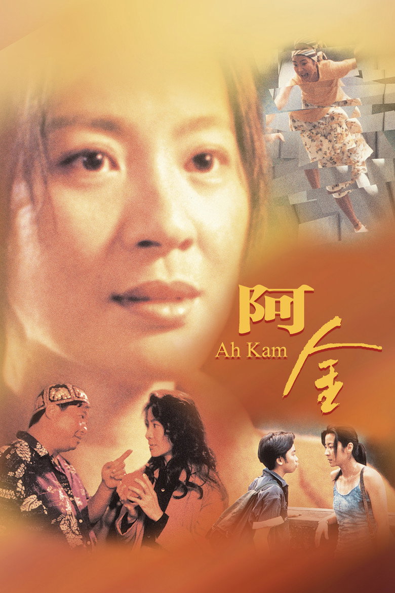 阿金 (1996) TMDB poster
