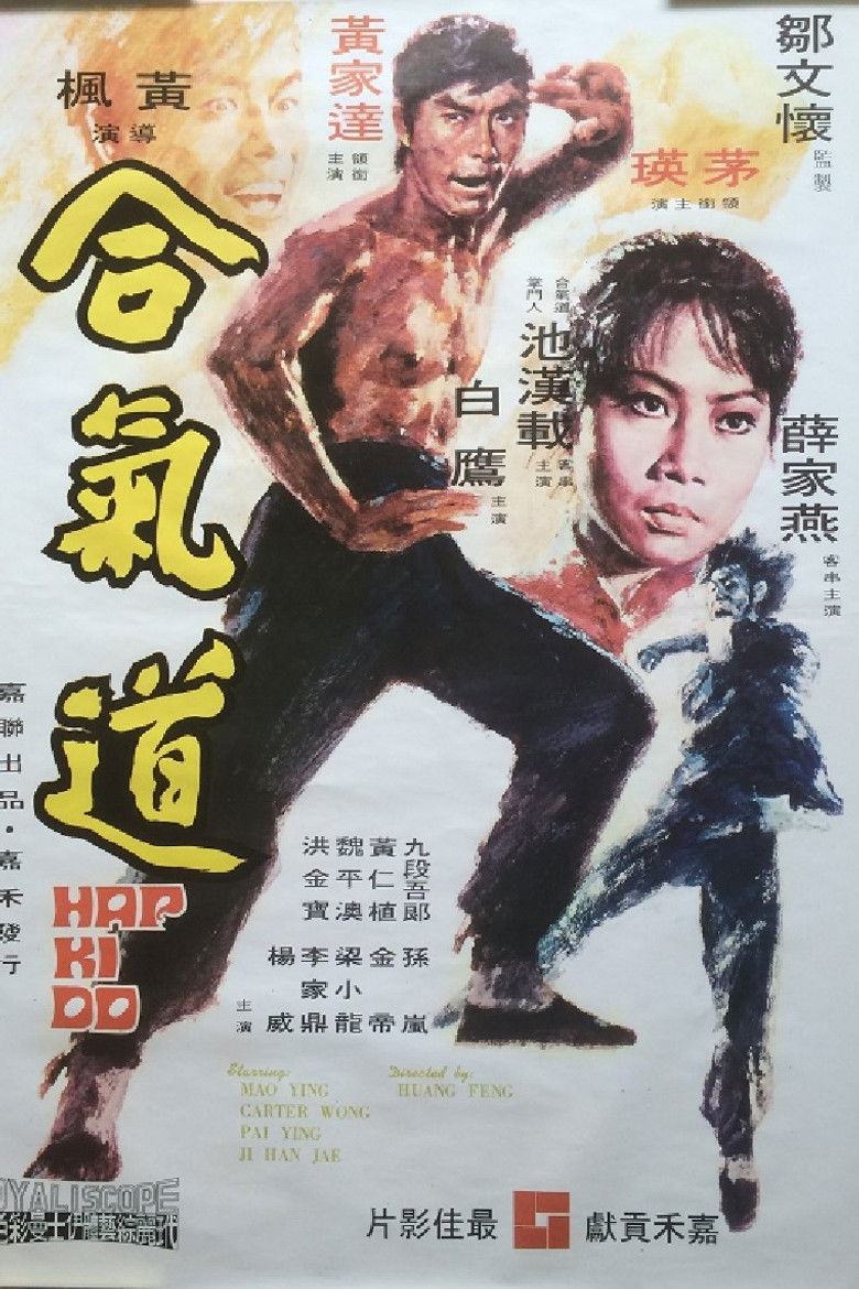 合氣道 (1972) TMDB poster