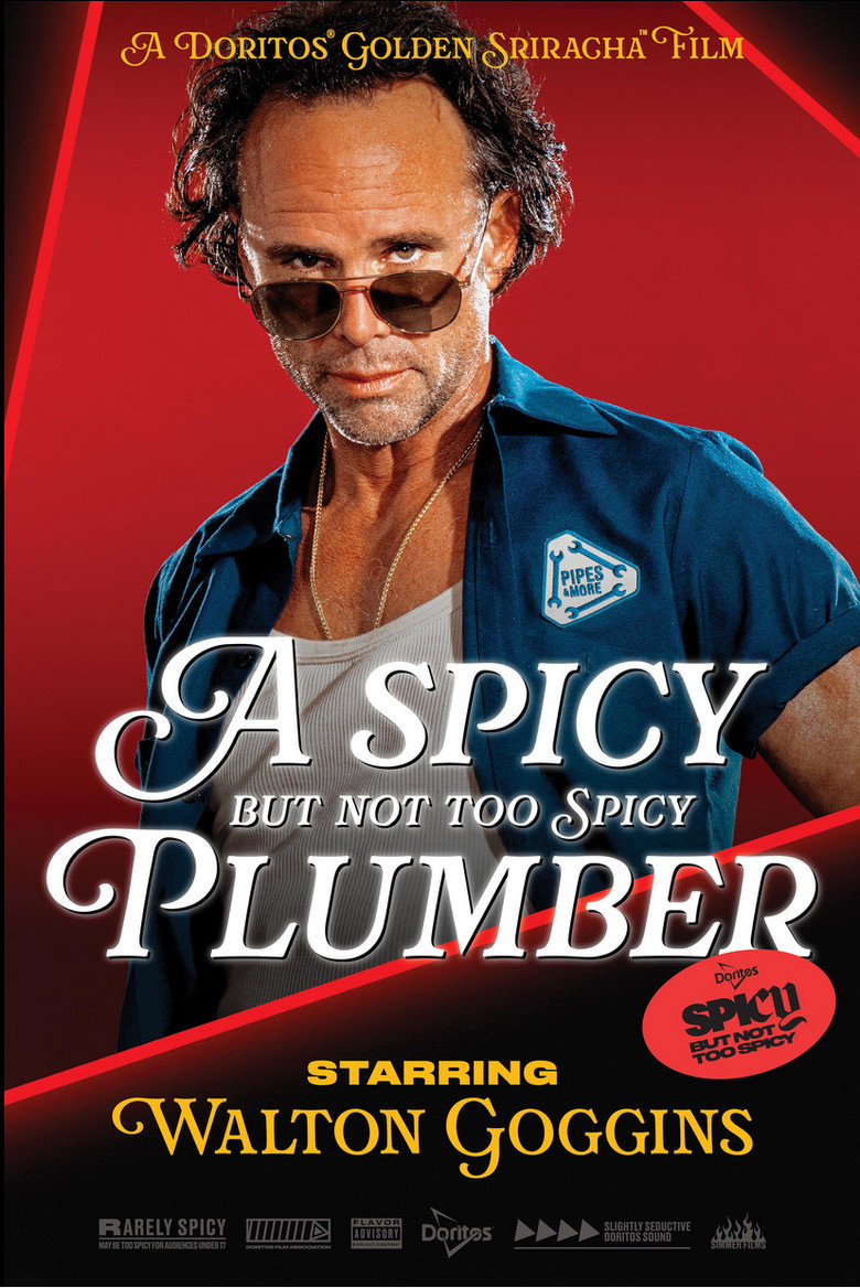 A Spicy but Not Too Spicy Plumber (2025) TMDB poster