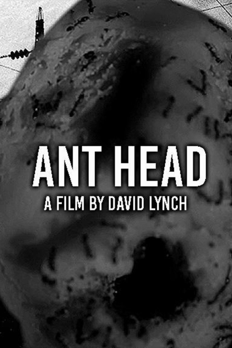 Мурахова голова / Ant Head (2018) TMDB poster