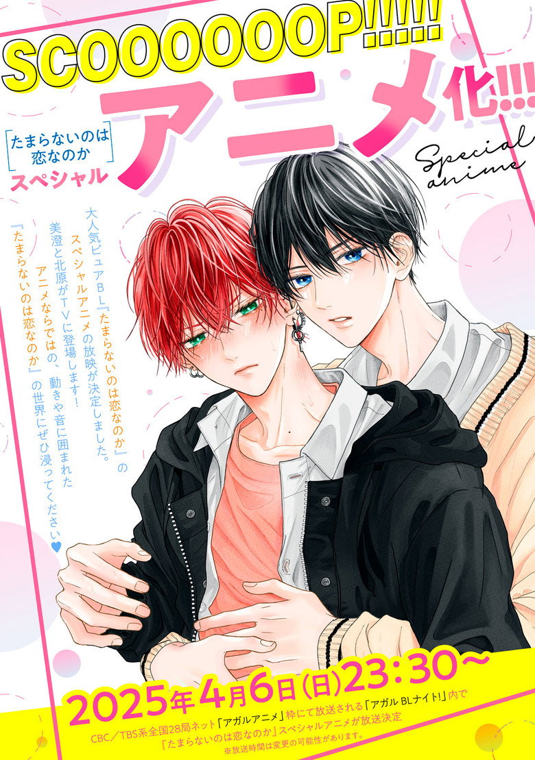 たまらないのは恋なのか (2025) TMDB poster