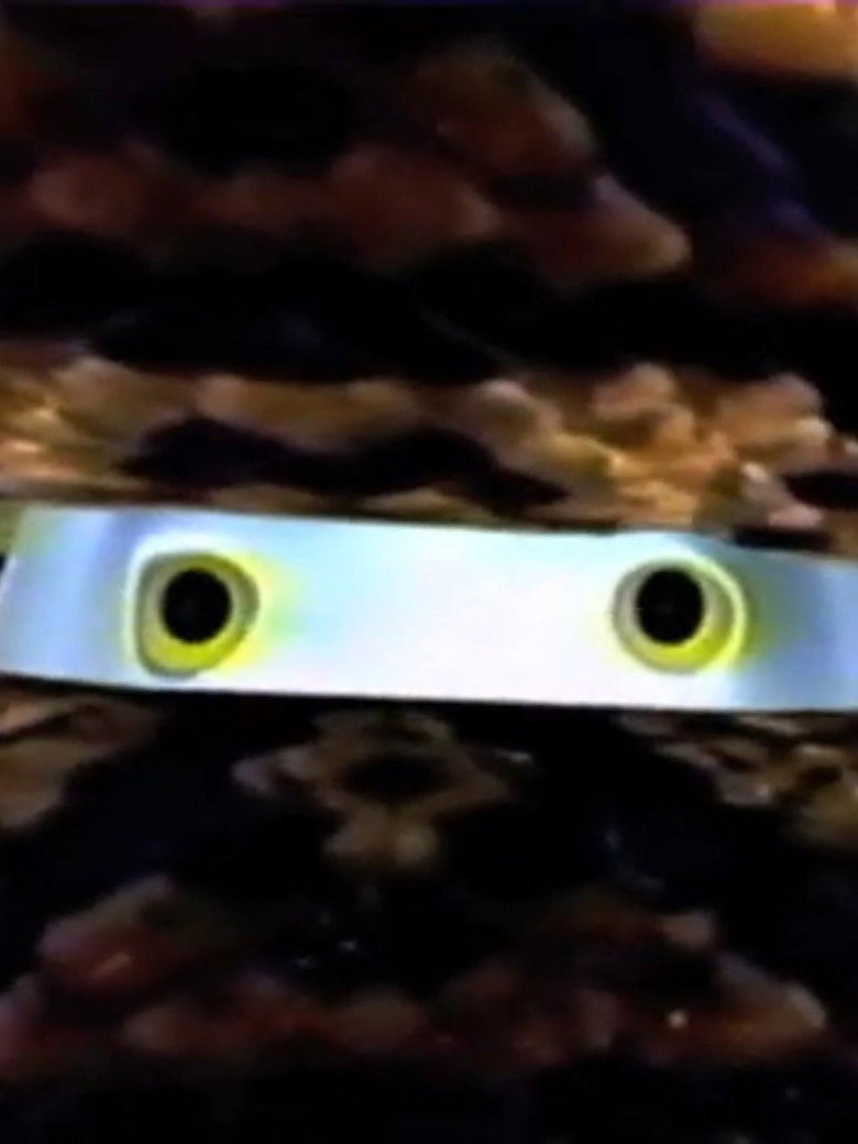 Meggamorphosis (1993) TMDB poster