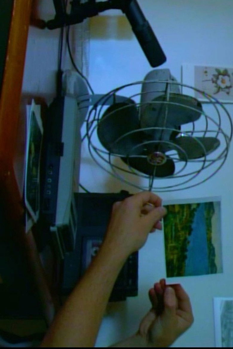 Seven Images of Disappearance