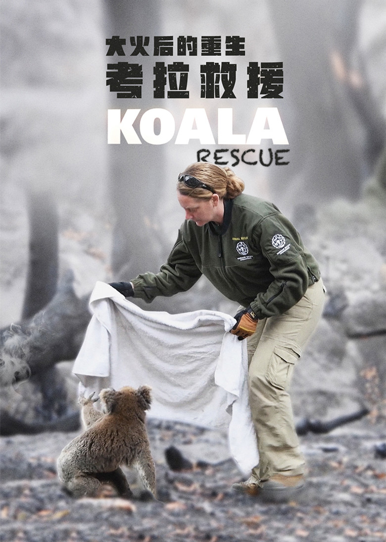 Koala Rescue