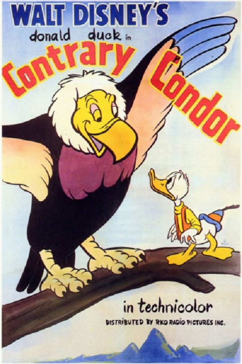 Contrary Condor