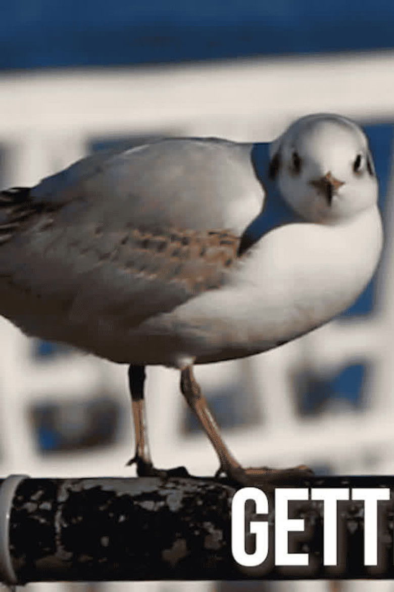 Getting Across the Solent, How hard can it be?