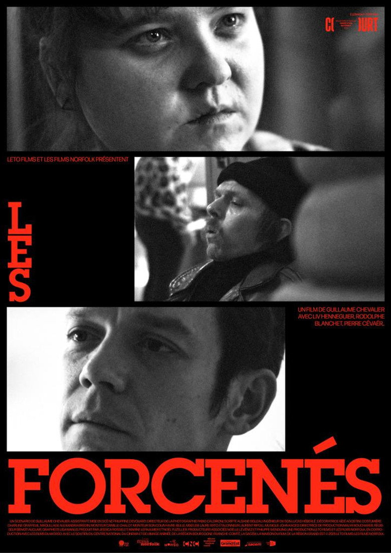 Les forcenés Poster