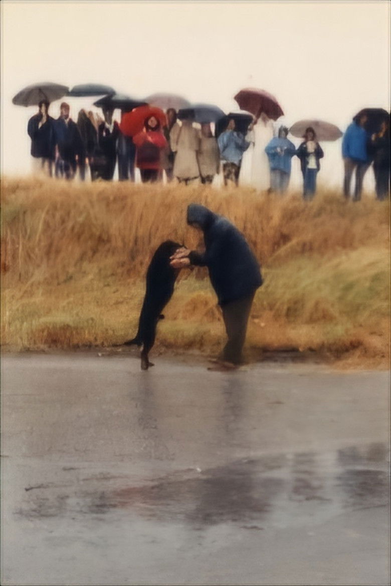 Strada provinciale delle Anime