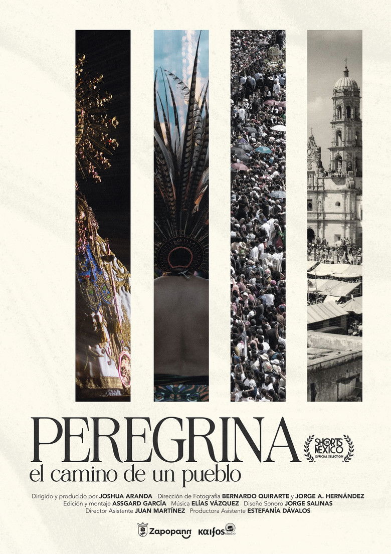 Pilgrim A people's journey